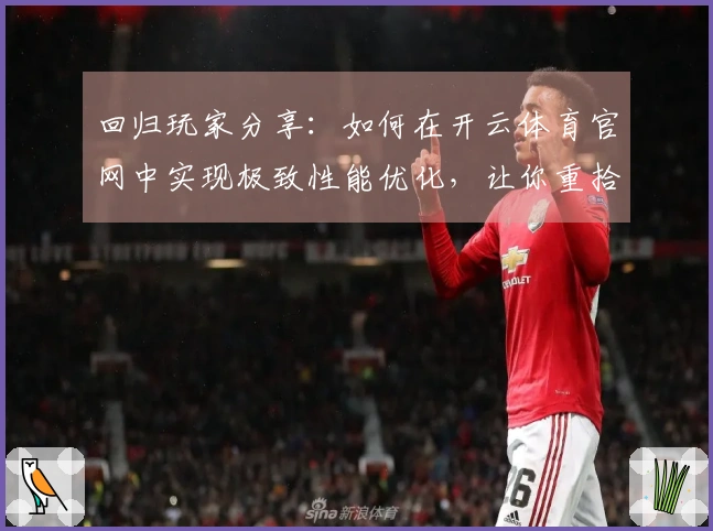 回归玩家分享：如何在开云体育官网中实现极致性能优化，让你重拾游戏快感