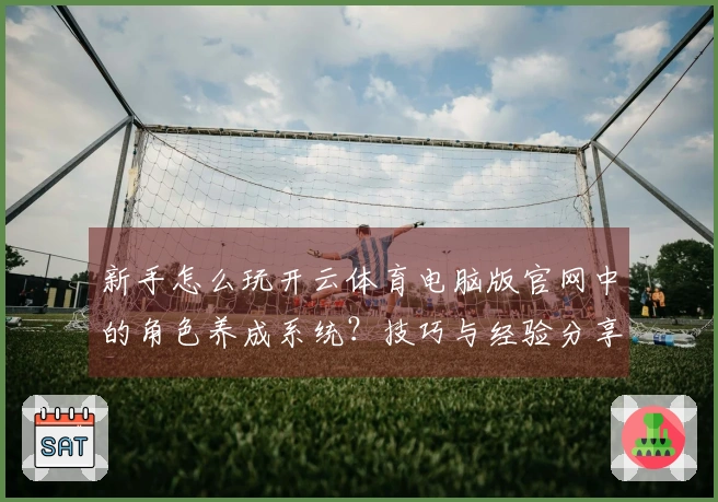 新手怎么玩开云体育电脑版官网中的角色养成系统？技巧与经验分享！